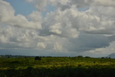 DSC_4383 (Large).JPG